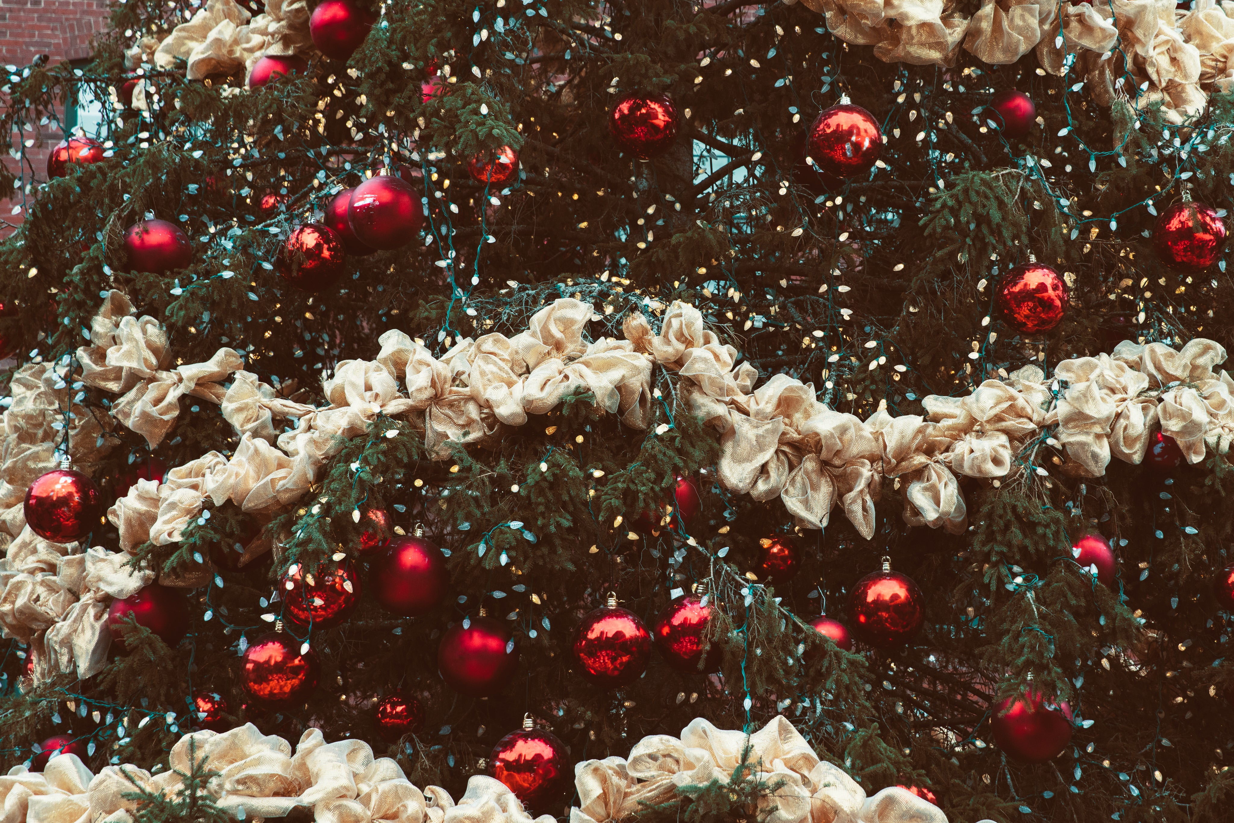 Holiday Lights