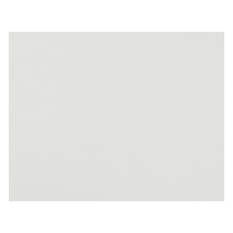PACON - 4-Ply Railroad Board, White, 22" x 28", Pack of 50