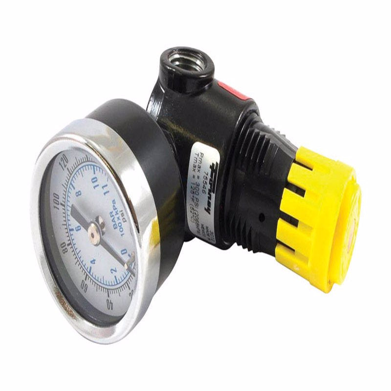 FORNEY - Forney Plastic Mini Regulator with Gauge 1/4 in. NPT 300 psi 1 pc