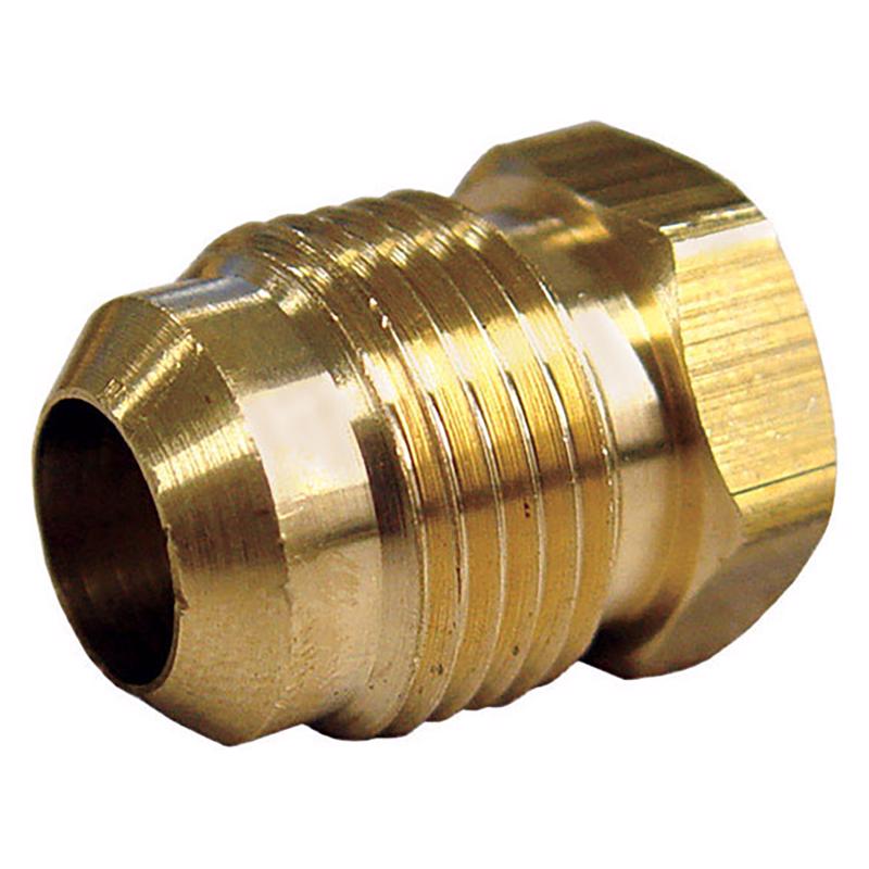0 - 1/4 in. Flare Brass Hex Plug - Case of 5