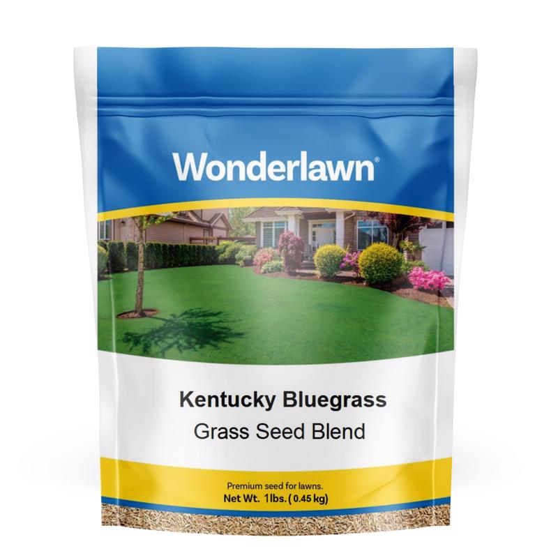 WONDERLAWN - Wonderlawn Kentucky Bluegrass Full Sun Grass Seed 1 lb