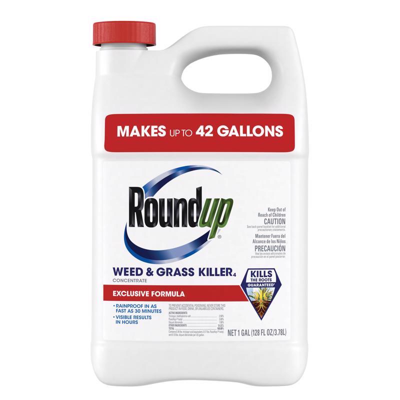 ROUNDUP - Roundup Weed and Grass Killer Concentrate 1 gal