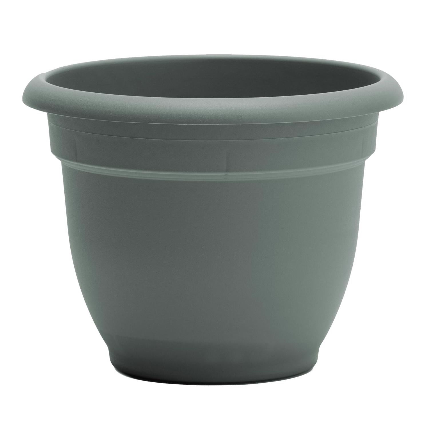 Bloem Ariana 5.25 in. H X 6.5 in. W X 6 in. D Plastic Traditional Planter Living Green
