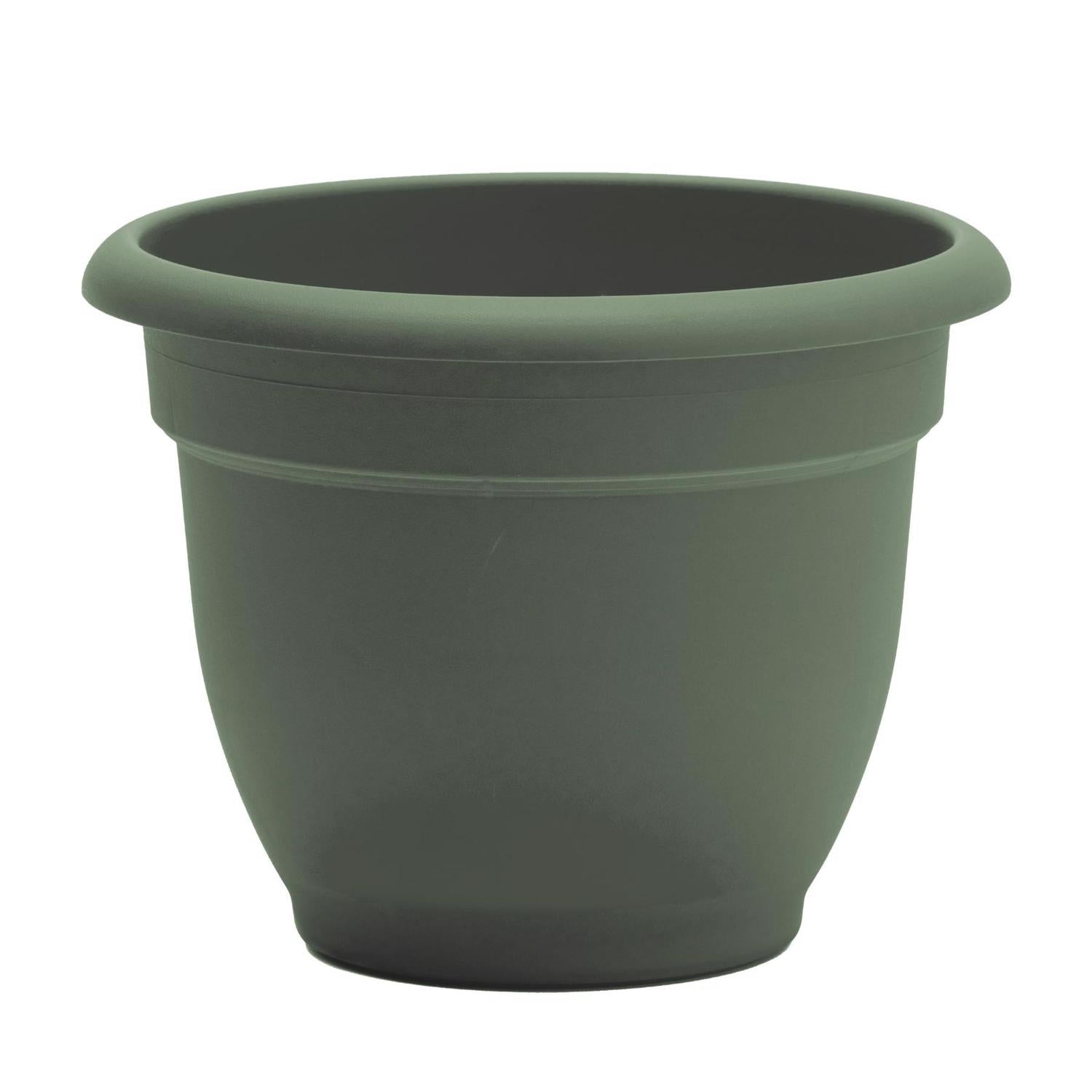 Bloem Ariana 10.25 in. H X 13 in. W X 12 in. D Plastic Traditional Planter Living Green