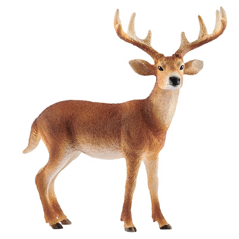 SCHLEICH - Schleich Wild Life White Tailed Buck Deer Toy Plastic Brown - Case of 5