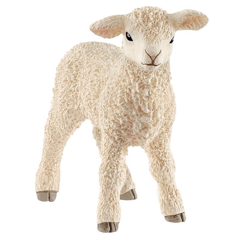 SCHLEICH - Schleich Farm World Lamb Toy White - Case of 5