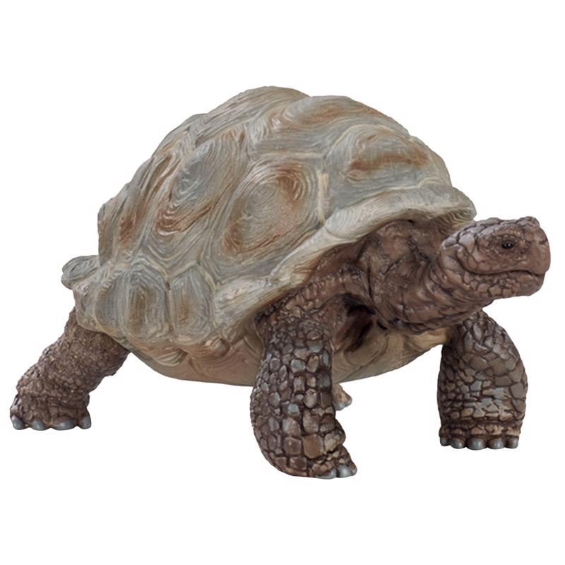 SCHLEICH - Schleich Wild Life Giant Tortoise Toy Plastic Beige/Brown - Case of 5