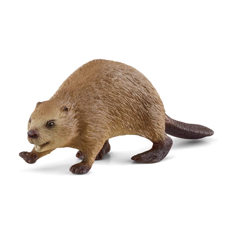 SCHLEICH - Schleich Beaver Toy Tan - Case of 5