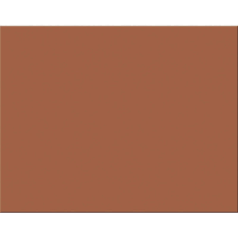 PACON - 4-Ply Railroad Board, Brown, 22" x 28", 25 Sheets