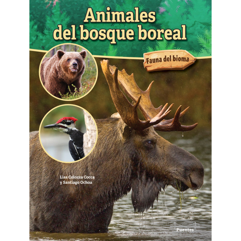 BRIDGES - Animales del bosque boreal Hardcover