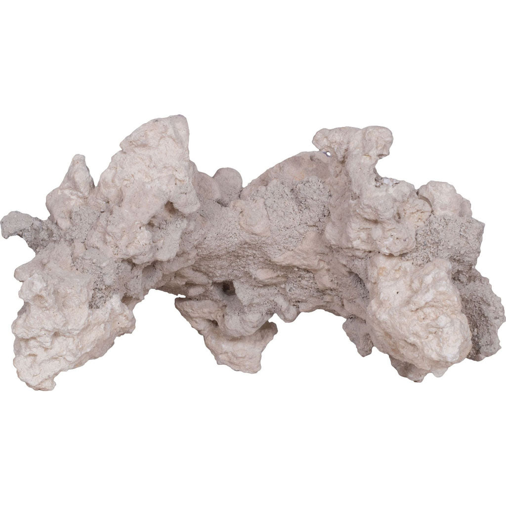 Caribsea South Seas Shapes Arches Only (12 IN-4 PK)