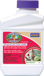 Captain Jack'S Deadbug Brew Concentrate (16 OZ)