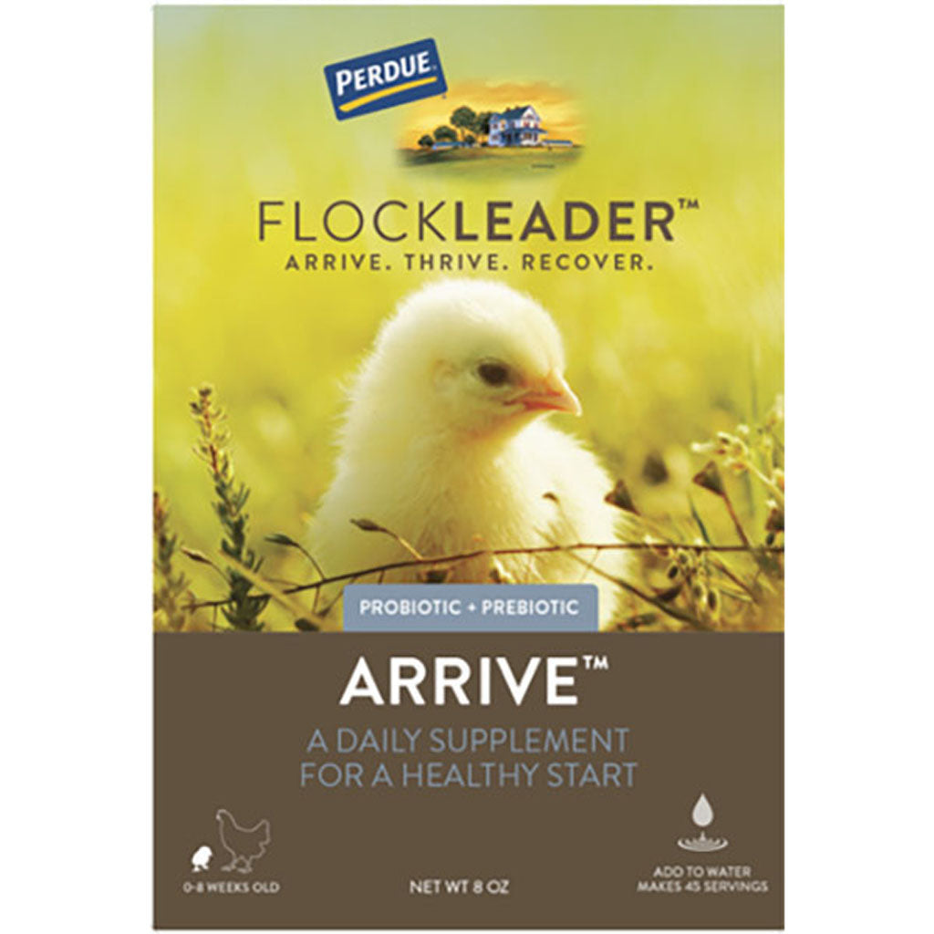 Perdue Flockleader Arrive Poultry Supplement (POWDER, 8 OZ)