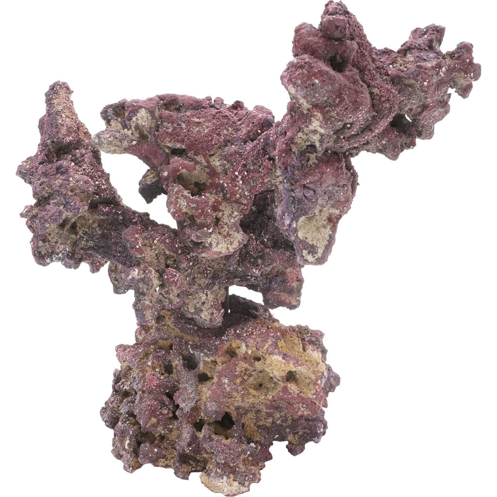 Caribsea Liferock Nano Tree