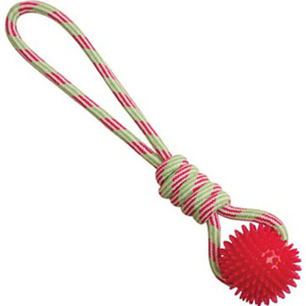 Snugarooz Spike-O-Mite Rope Tug (ASSORTED, 16 IN)