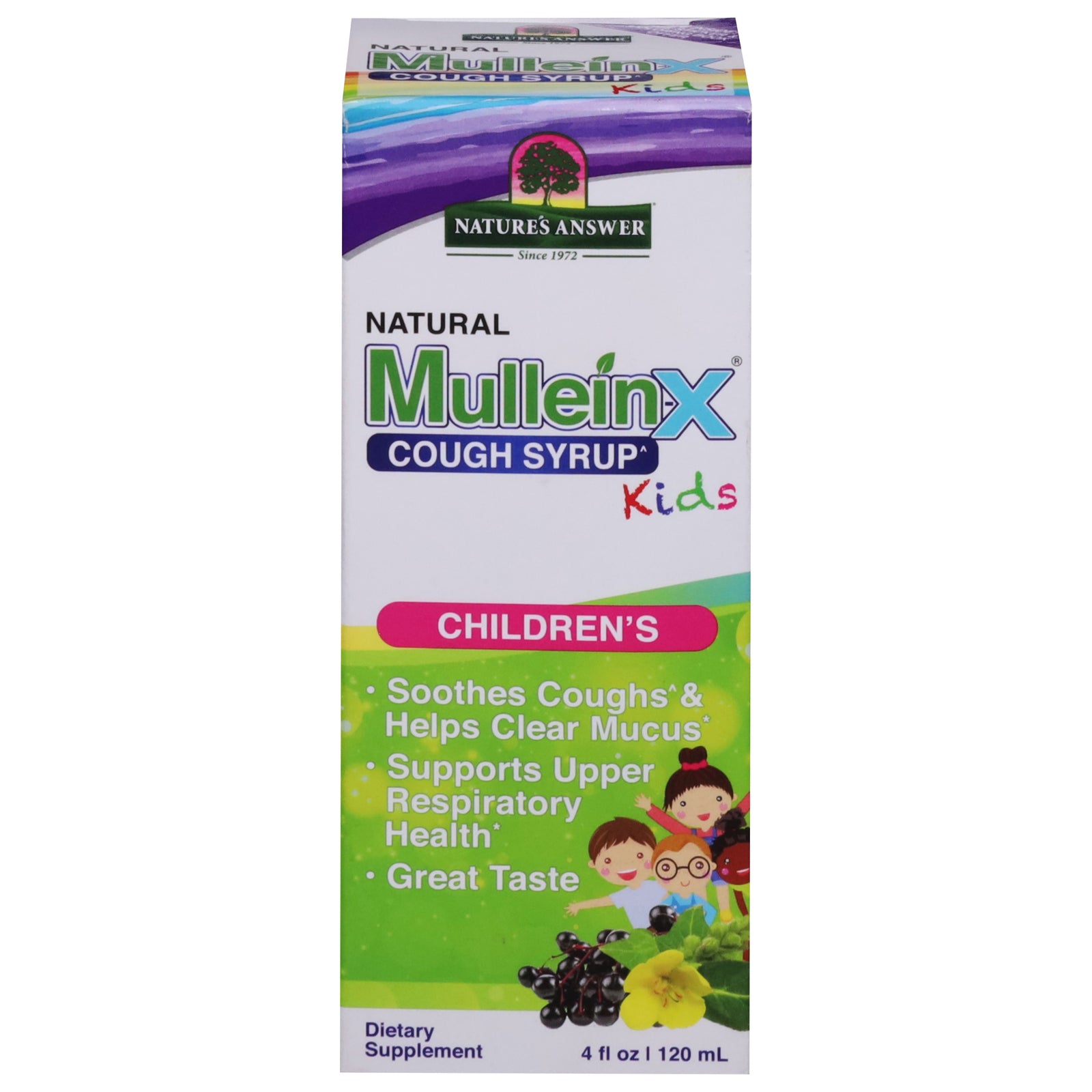 Nature's Answer - Cough Syr Kids Mullein X - EA of 1-4 FZ