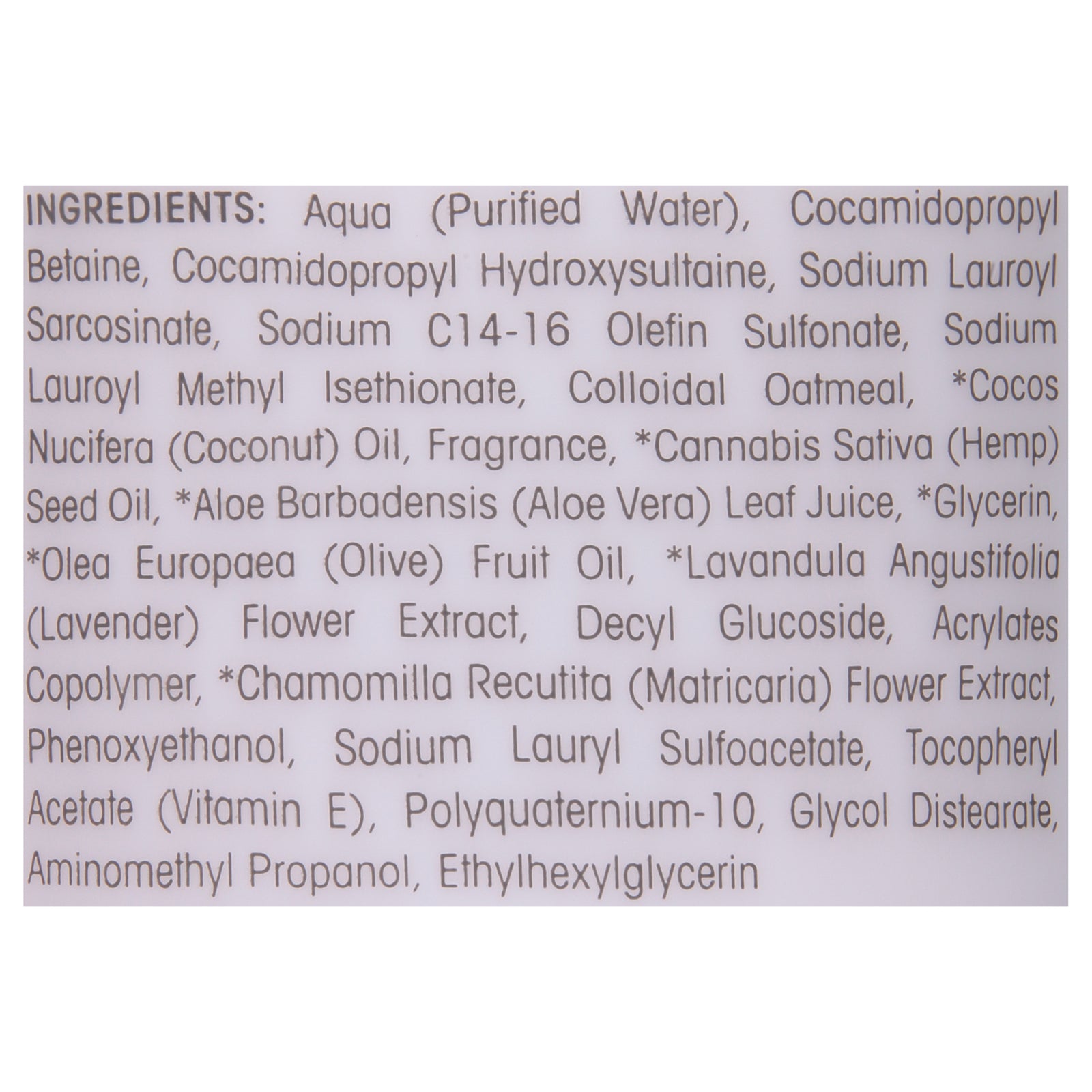 Giovanni Hair Care Products - Pet Shampoo Oatmeal & Coconut - 1 Each-16 FZ