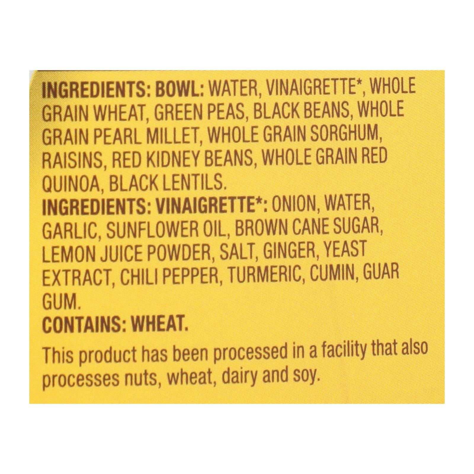 Tasty Bite - Bowl Protein Indian Style - Case of 6-8.8 OZ