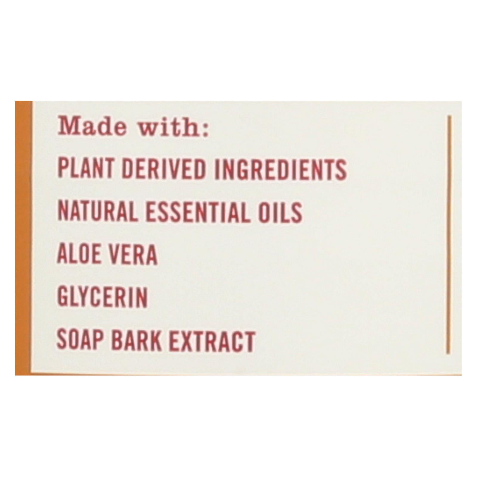 This Amazing Seasonal Scented Mrs. Meyer's Apple Cider Dish Soap  - Case of 6 - 16 FZ