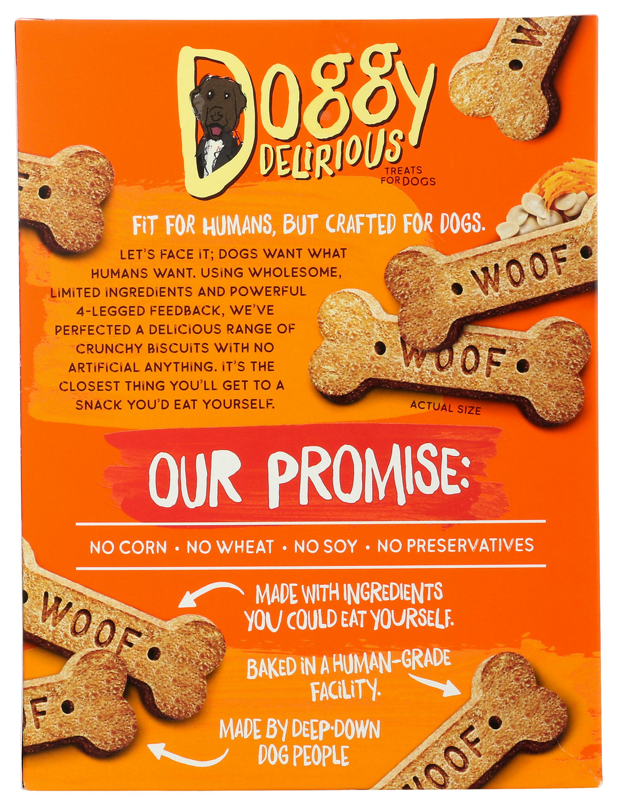 DOGGY DELIRIOUS DOG BONE PUMPKIN - Case of 6