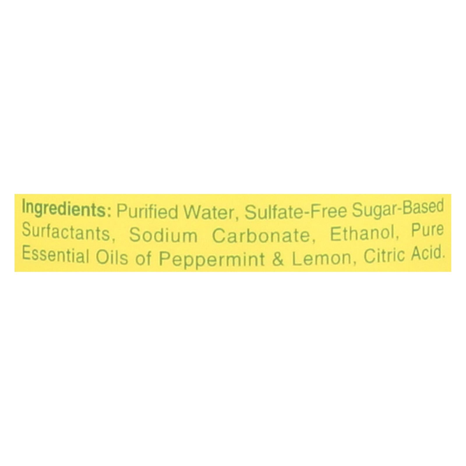 Rebel Green Glass Spray - Peppermint Lemon - Case of 4 - 32 fl oz