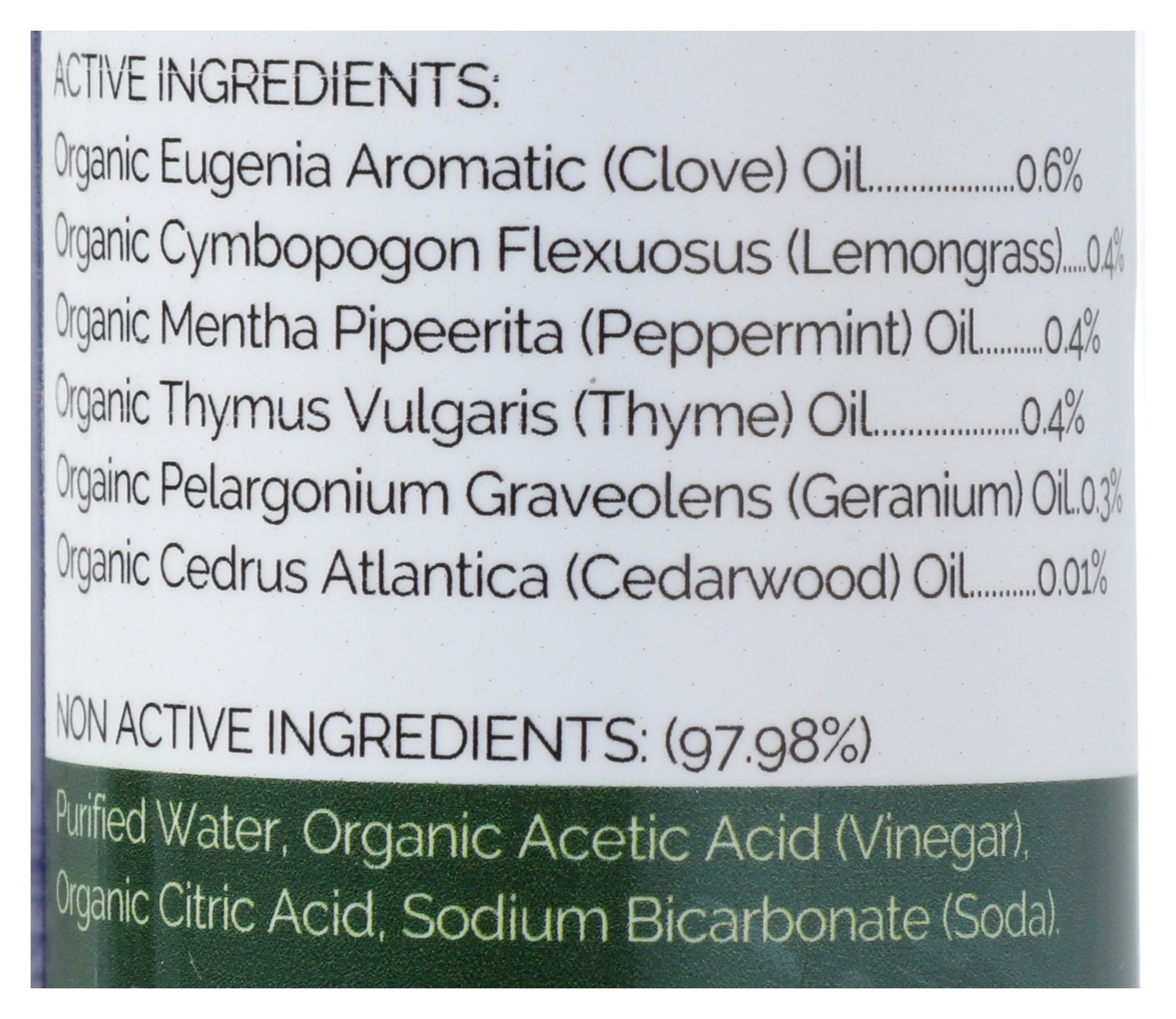 BRITTANIES THYME REPELLENT BUG
