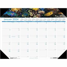House of Doolittle EarthScapes Sea Life Desk Pads