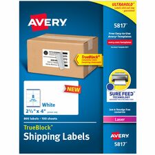 Avery&reg; Printable Shipping Labels, 2.5" x 4" , 800 Labels (5817)
