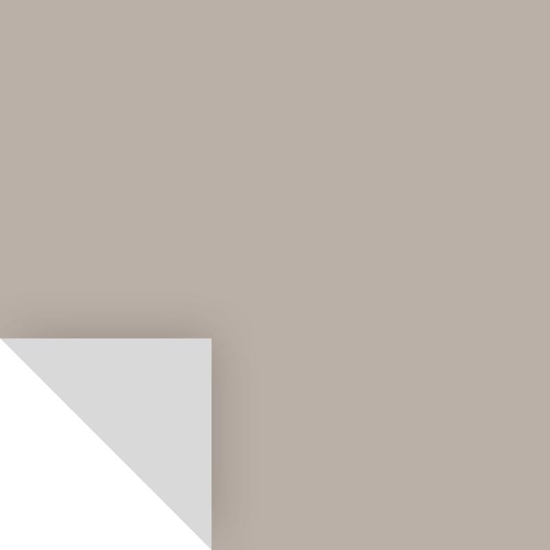 SAMPLIZE - Samplize Benjamin Moore Silver Fox Peel & Stick Color Sample 2108-50 - Case of 8