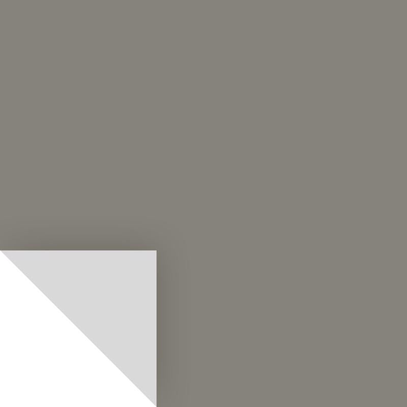 SAMPLIZE - Samplize Benjamin Moore Chelsea Gray Peel & Stick Color Sample HC-168 - Case of 8