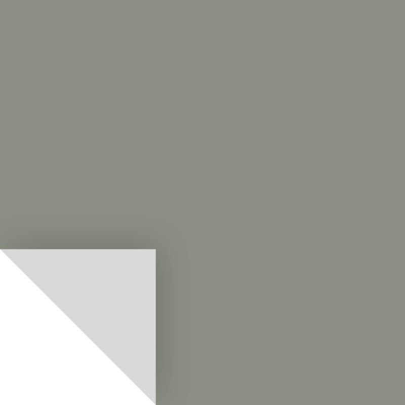 SAMPLIZE - Samplize Benjamin Moore Carolina Gull Peel & Stick Color Sample 2138-40 - Case of 8