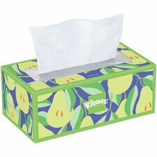 Kimberly-Clark Professional Trusted Care Tissues - 2 Ply - White - Wood Pulp - 160 Per Box - 24 / Carton