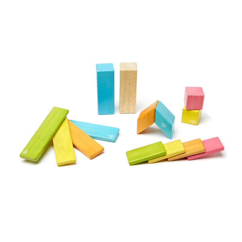 TEGU - Magnetic Wooden Blocks, 14-Piece Set, Tints