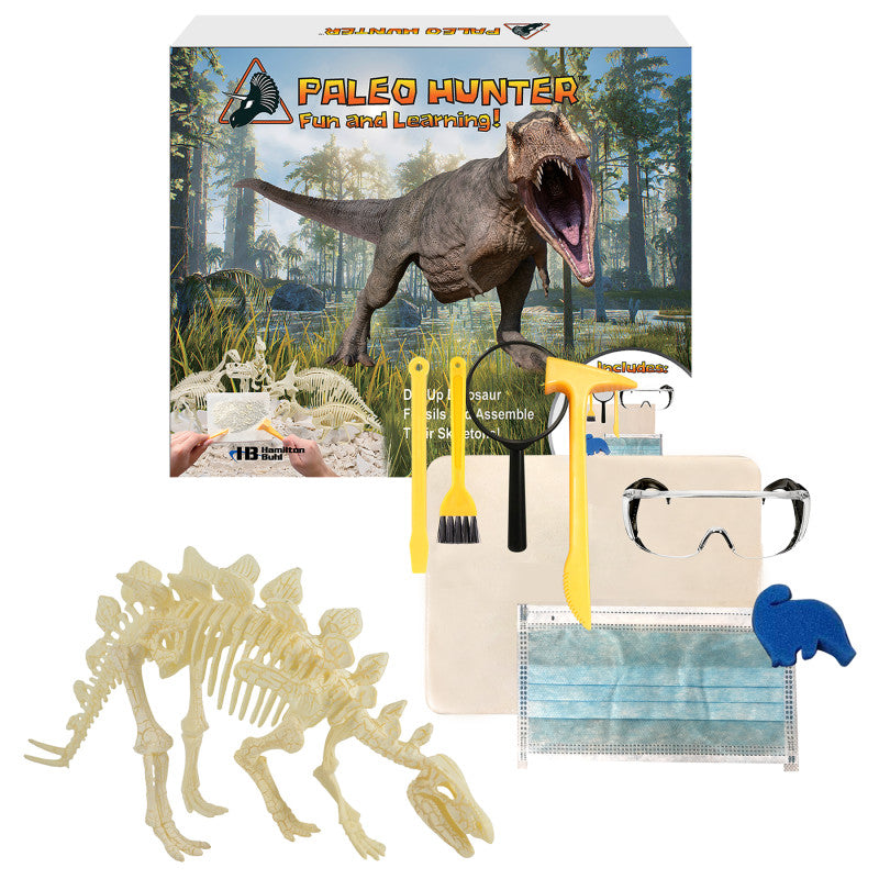 HAMILTONBUHL - Paleo Hunter™ Dig Kit for STEAM Education - Stegosaurus