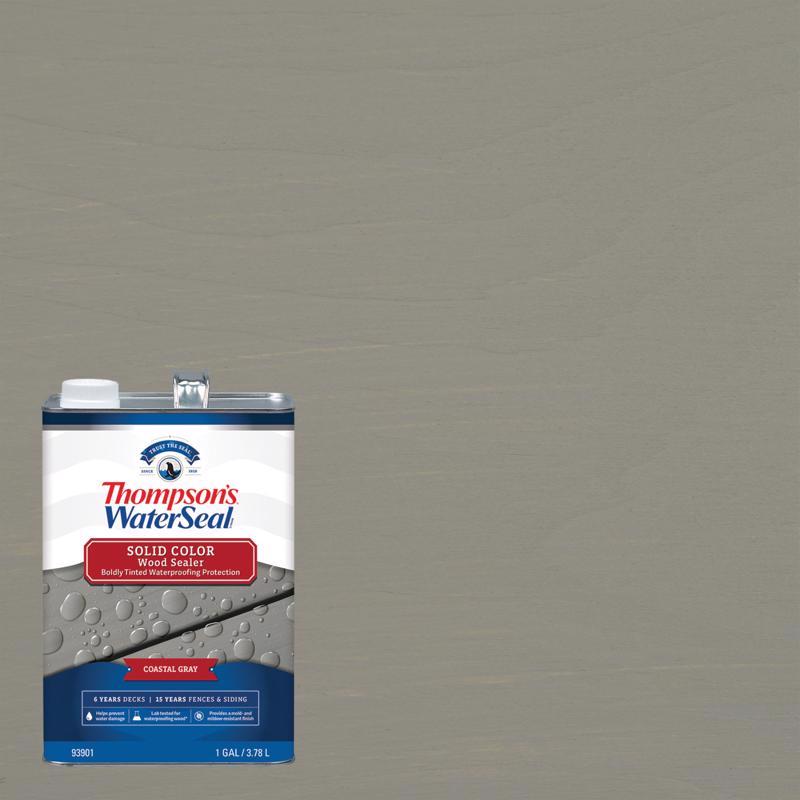 THOMPSON'S WATERSEAL - Thompson's WaterSeal Wood Sealer Solid Coastal Gray Waterproofing Wood Stain and Sealer 1 gal - Case of 4