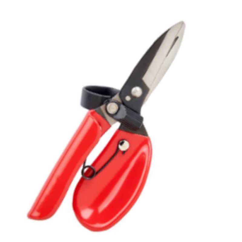 CORONA - Corona Carbon Steel Straight Edge Garden Snips - Case of 6