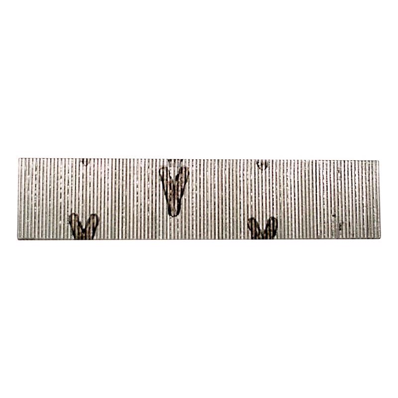 SENCO BRANDS - Senco 5/8 in. 23 Ga. Straight Strip Galvanized Micro Pins 2,600 pk