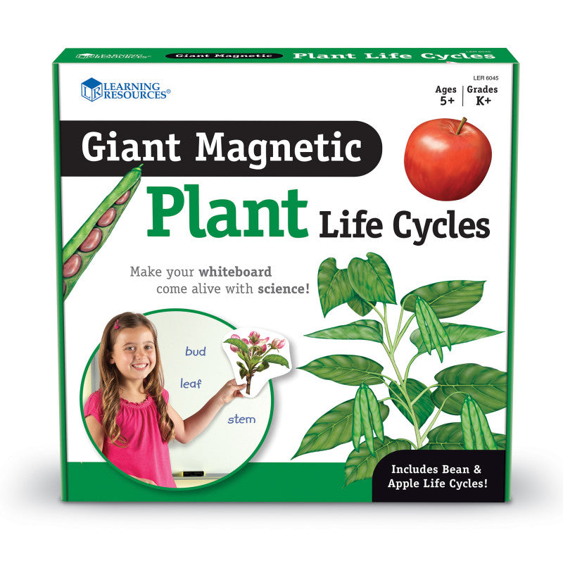 LEARNING RESOURCES - Giant Magnetic Plant Life Cycle, Set of 12