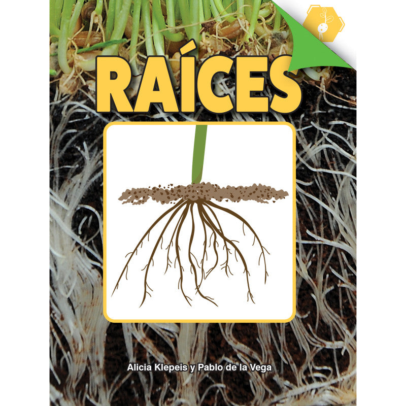 DISCOVERY LIBRARY - Raíces Book, Hardcover