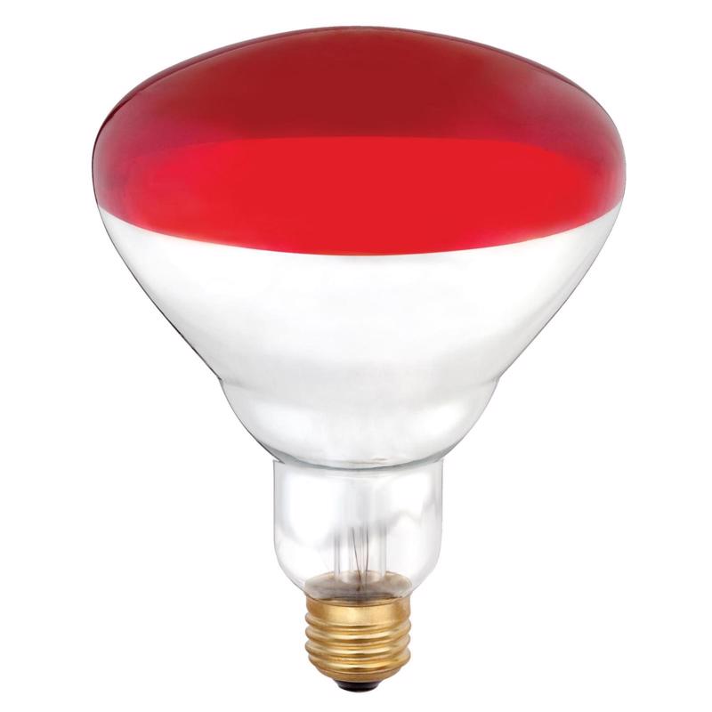 WESTINGHOUSE - Westinghouse 250 W R40 Heat Lamp Incandescent Bulb E26 (Medium) Red 6 pk
