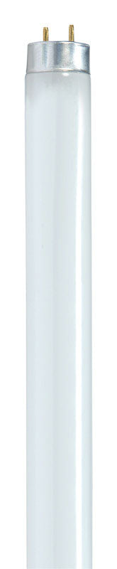 SATCO - Satco 17 W T8 1 in. D X 23.78 in. L Fluorescent Bulb Cool White Linear 4100 K 1 pk - Case of 30