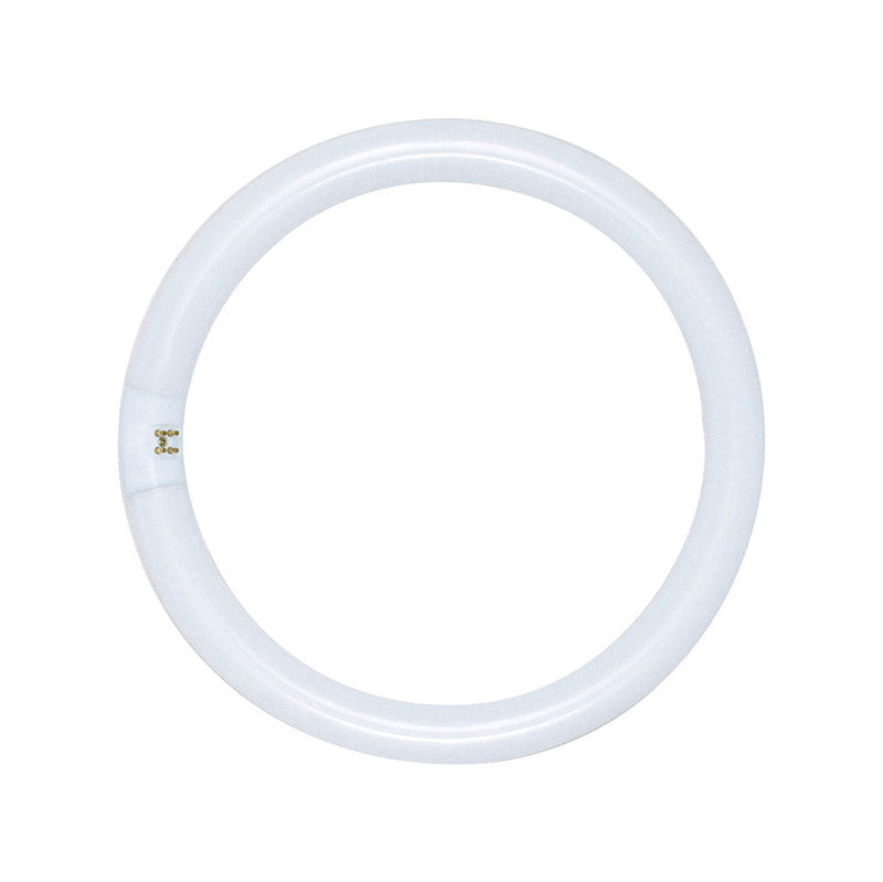 SATCO - Satco 32 W T9 1.13 in. D X 12 in. L Circline Fluorescent Bulb Daylight Tubular 6500 K 1 pk