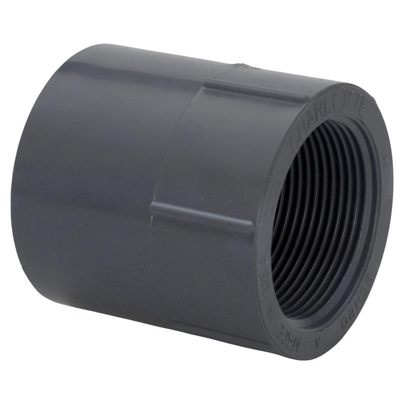 CHARLOTTE PIPE - Charlotte Pipe Schedule 80 1-1/4 in. Slip X 1-1/4 in. D FPT PVC Pipe Adapter 1 pk