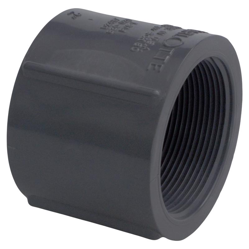 CHARLOTTE PIPE - Charlotte Pipe Schedule 80 2 in. FPT X 2 in. D FPT PVC Coupling 1 pk