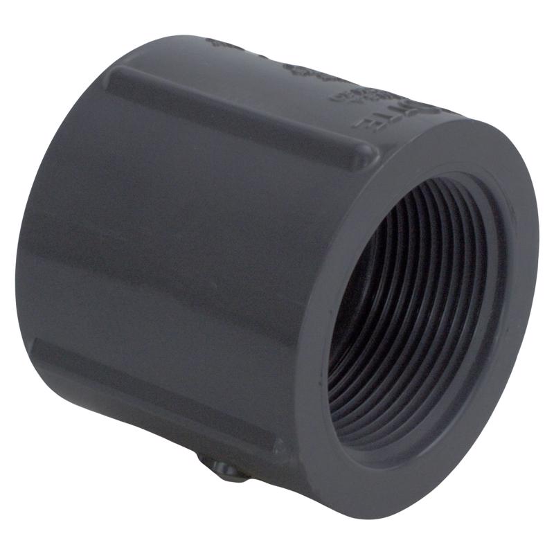 CHARLOTTE PIPE - Charlotte Pipe Schedule 80 1 in. FPT X 1 in. D FPT PVC Coupling 1 pk