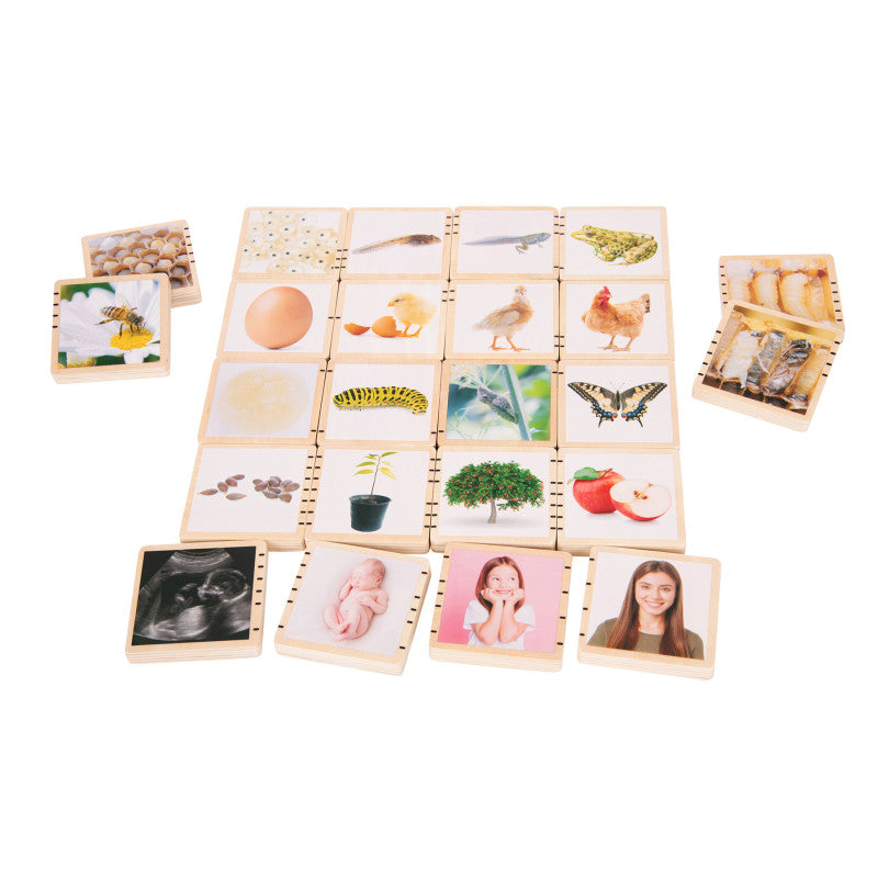 TICKIT - Wooden Lifecycle Tiles