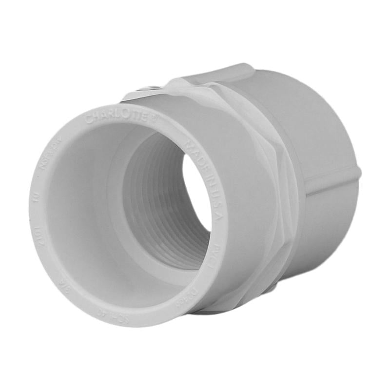 CHARLOTTE PIPE - Charlotte Pipe Schedule 40 3/4 in. Slip X 3/4 in. D FPT PVC Pipe Adapter 1 pk - Case of 25 [PVC 02101 0800]