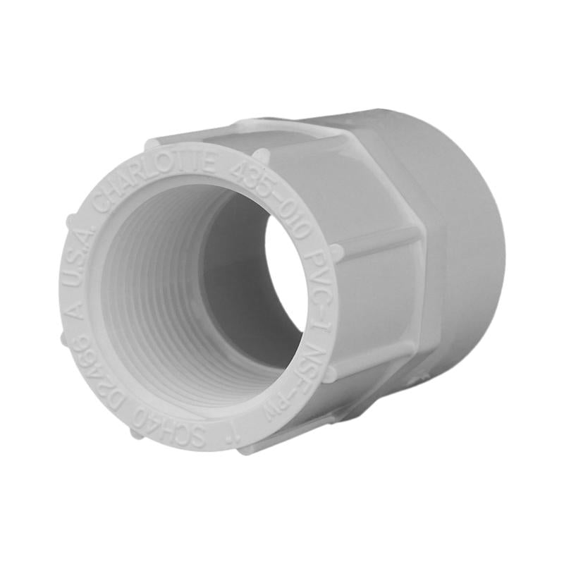 CHARLOTTE PIPE - Charlotte Pipe Schedule 40 1 in. Slip X 1 in. D FPT PVC Pipe Adapter 1 pk - Case of 25
