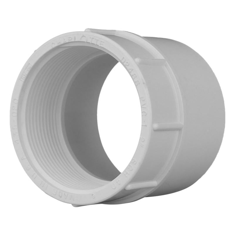 CHARLOTTE PIPE - Charlotte Pipe Schedule 40 2 in. Slip X 2 in. D FPT PVC Pipe Adapter 1 pk