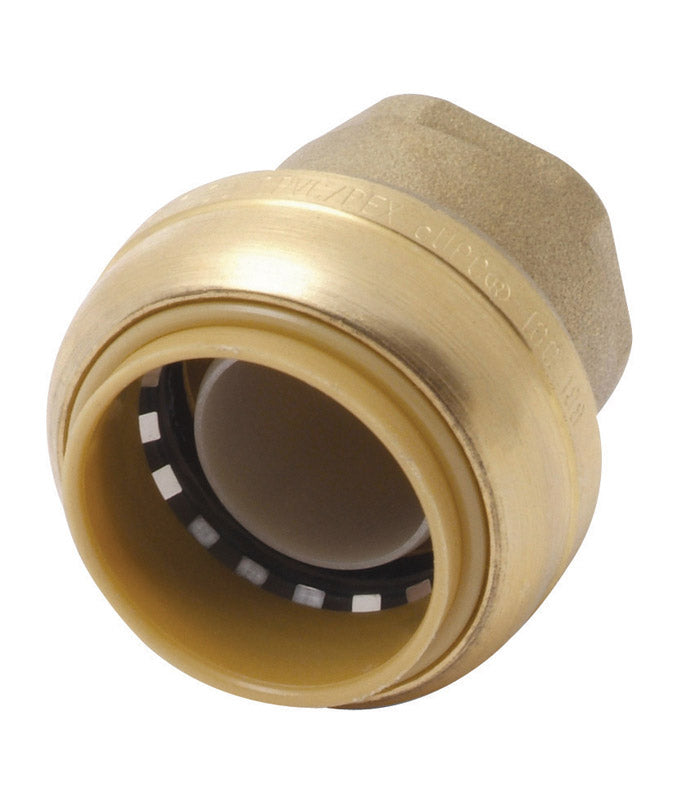 SHARKBITE - SharkBite 3/4 in. Push Brass End Stop